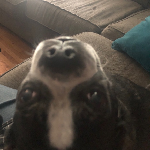 Meet your Posher, Michelle - Picture 1 of 1